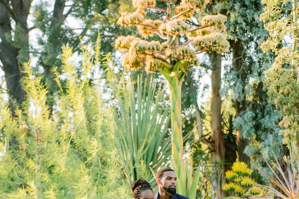 The Ruth Bancroft Garden