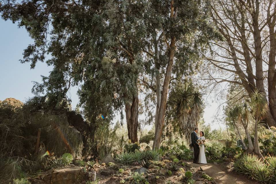 Ceremony in Eucalyptus Grove