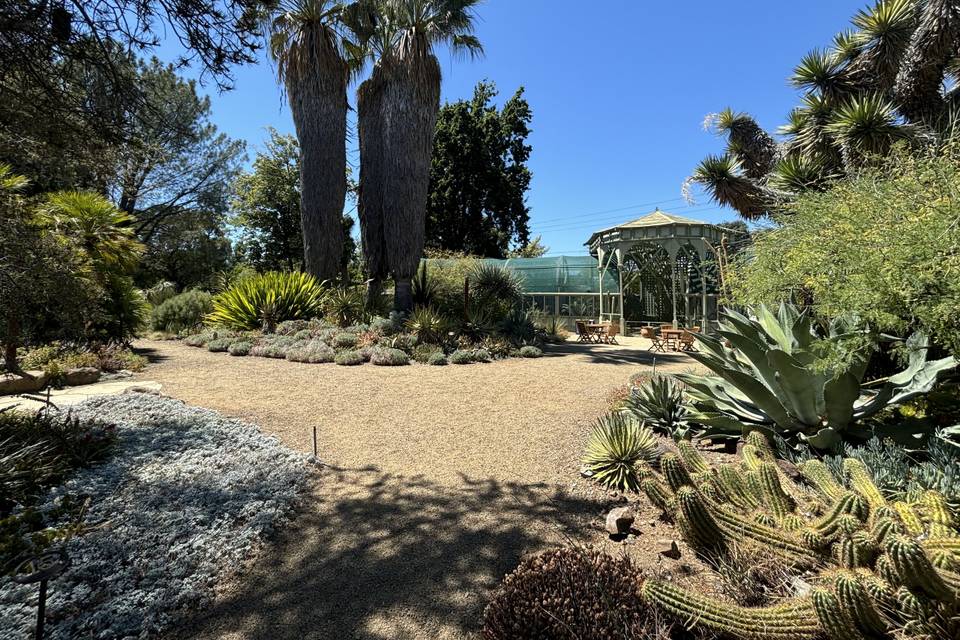 Pond/Folly area