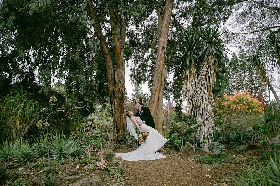 The Ruth Bancroft Garden