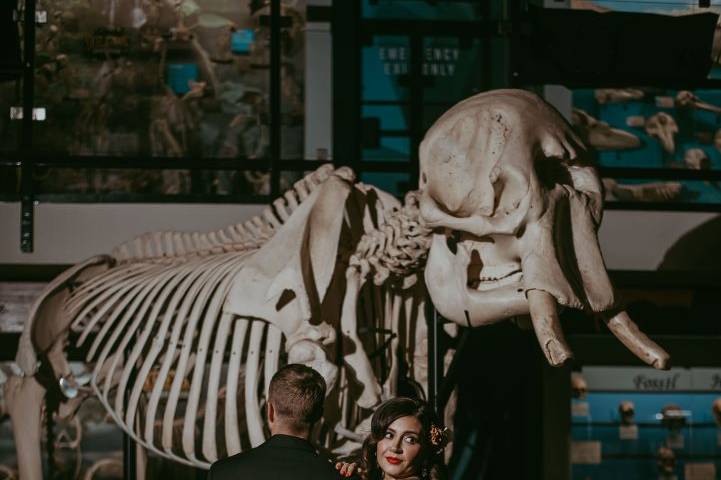 SKELETONS: Museum of Osteology