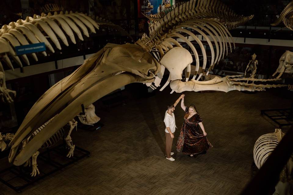 SKELETONS: Museum of Osteology