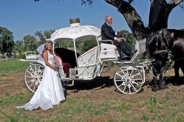 Lockewood Carriages