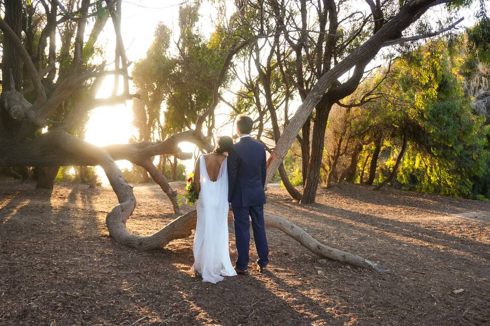 Weddings For Us