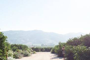 DanielleMGutierrez PHOTOGRAPHY