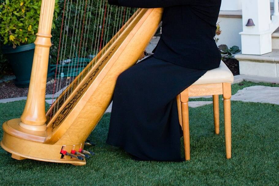 Harpist Naomi Alter