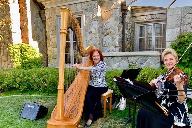 Harp and Violin