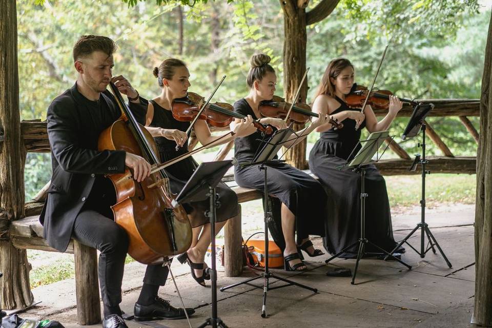 Cop Cot String Quartet