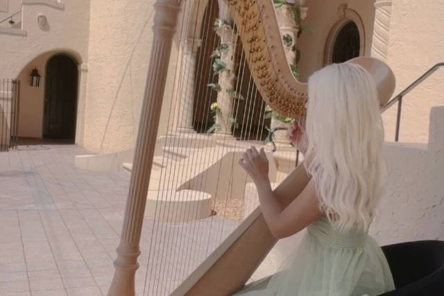 Palm Beach Harpist