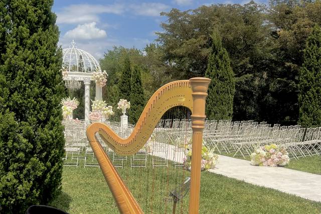 West Palm Beach Harpist