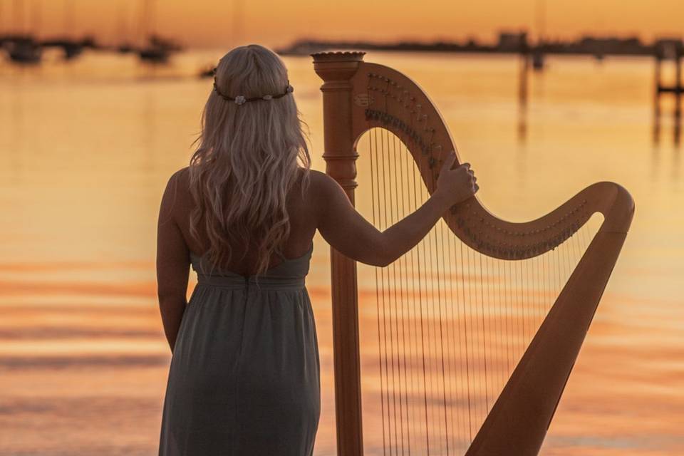 Sarasota Harpist
