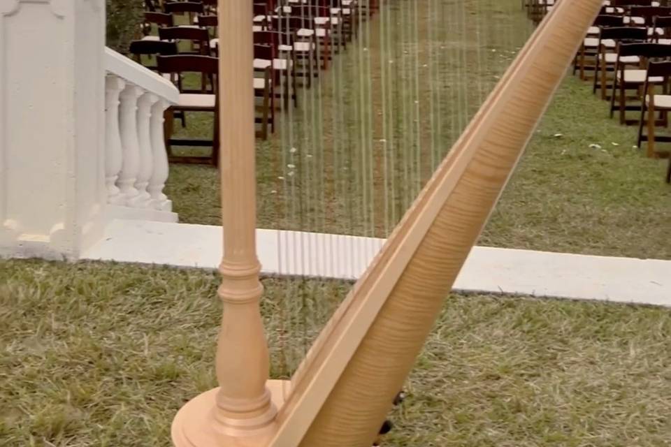 Fort Myers Harpist