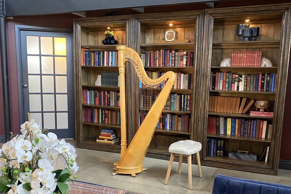Sarasota Harpist
