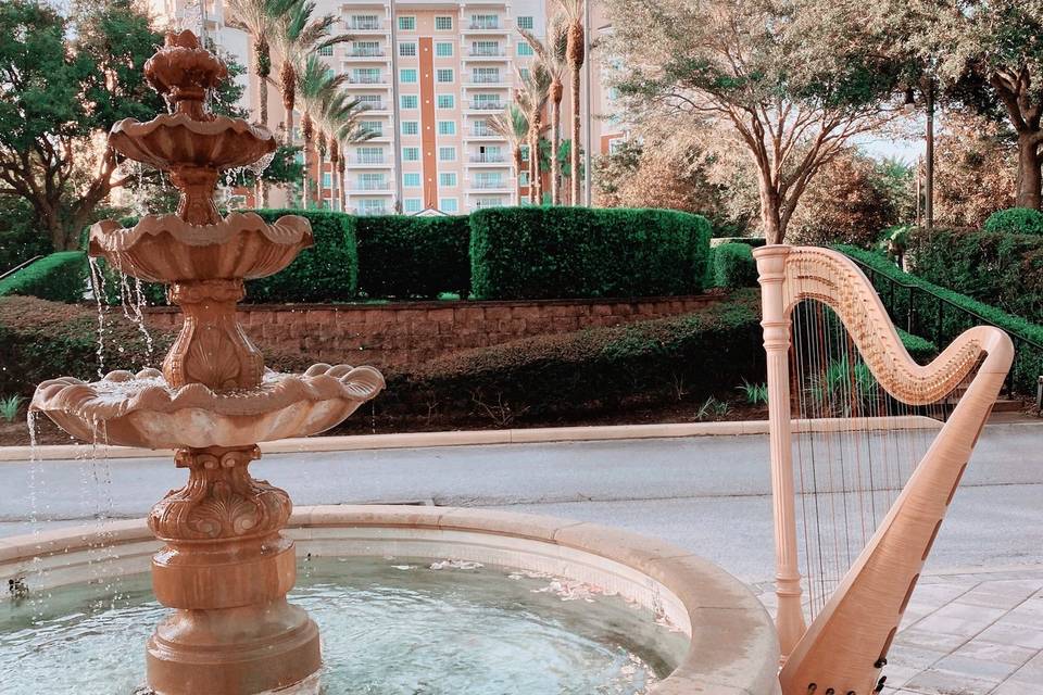 Orlando Harpist