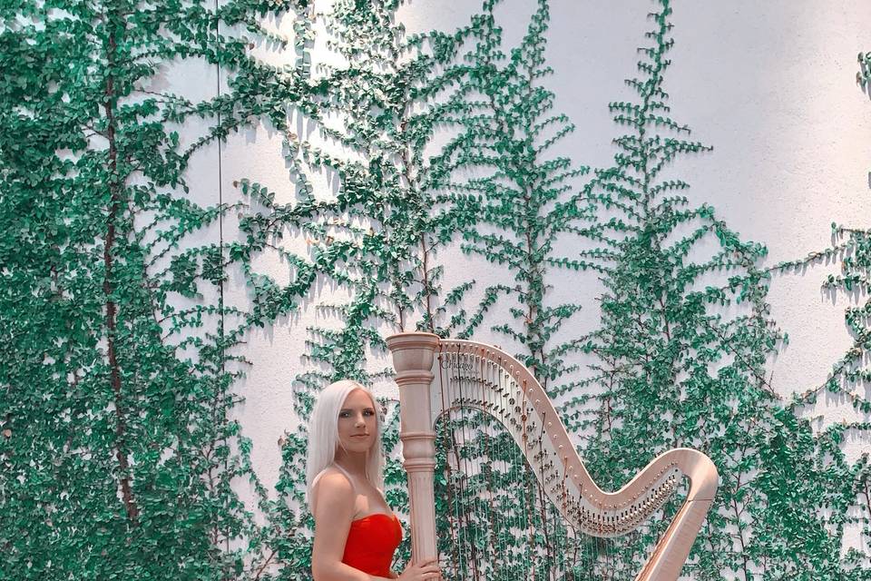Sarasota Harpist Emma