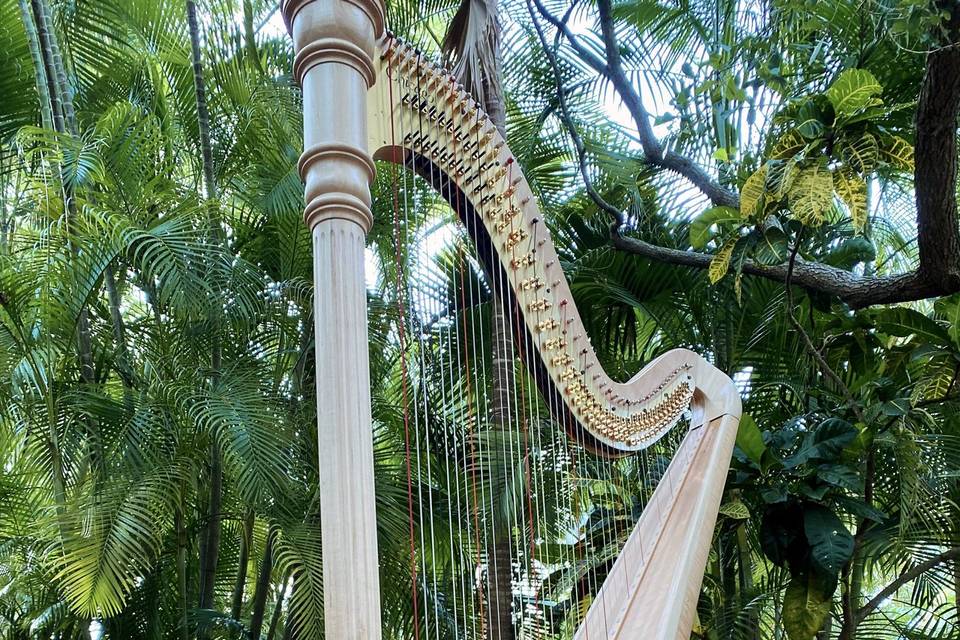 St. Petersburg Harpist