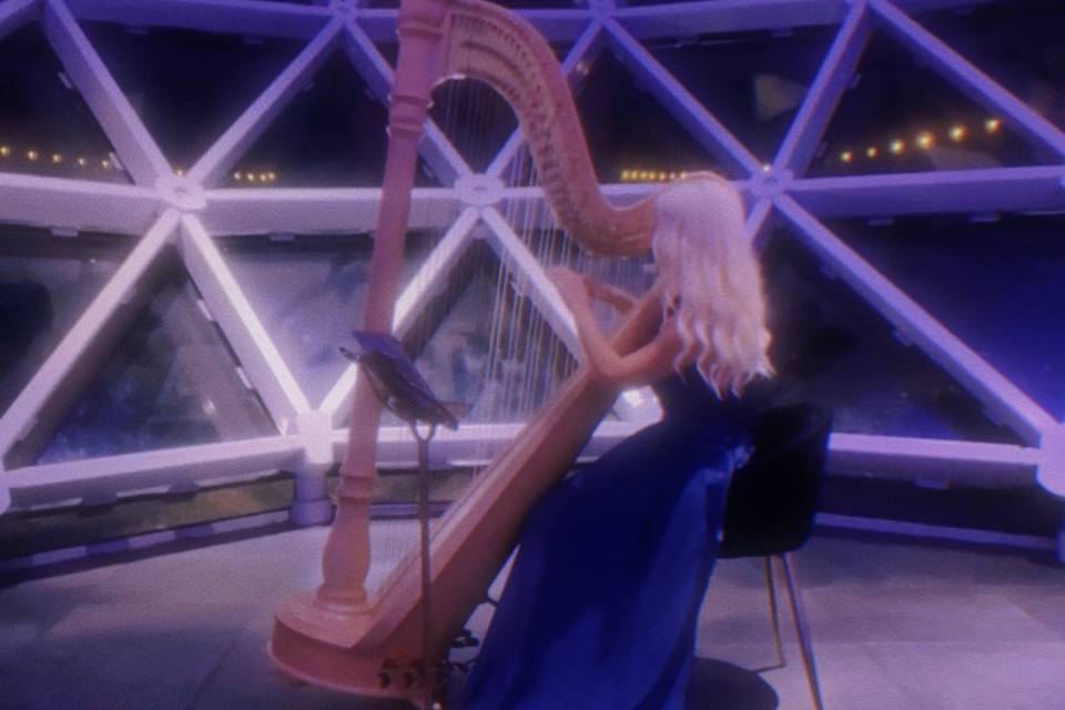 Dalí Museum - Emma the Harpist