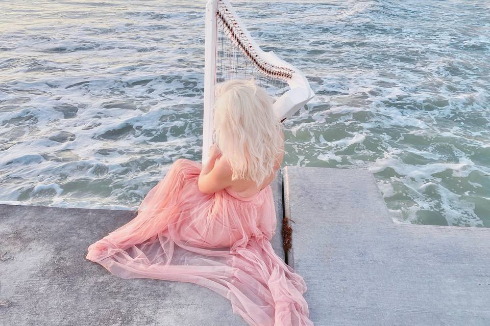 Anna Maria Island Harpist