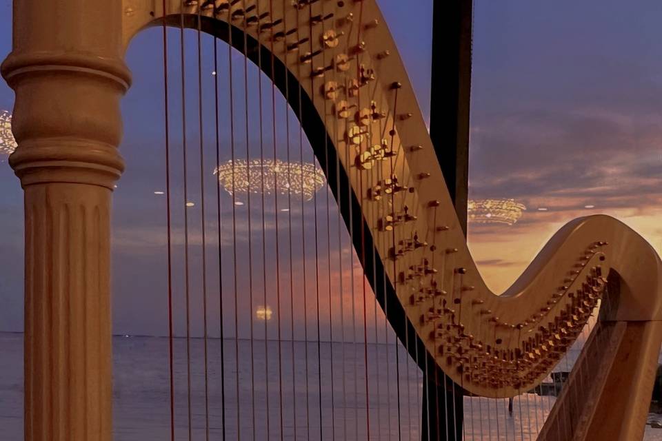 Tampa Bay Harpist Emma