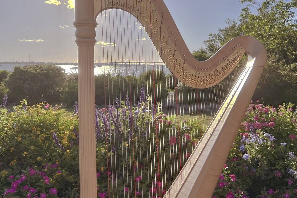 Brickell Harpist