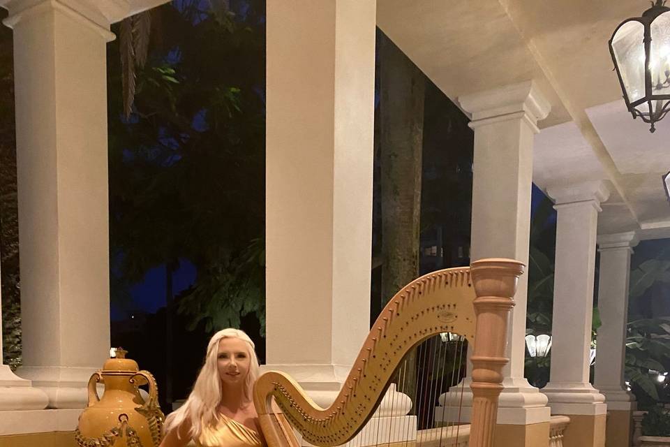 Ritz-Carlton Sarasota Harpist