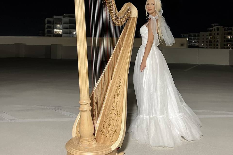 Naples Harpist