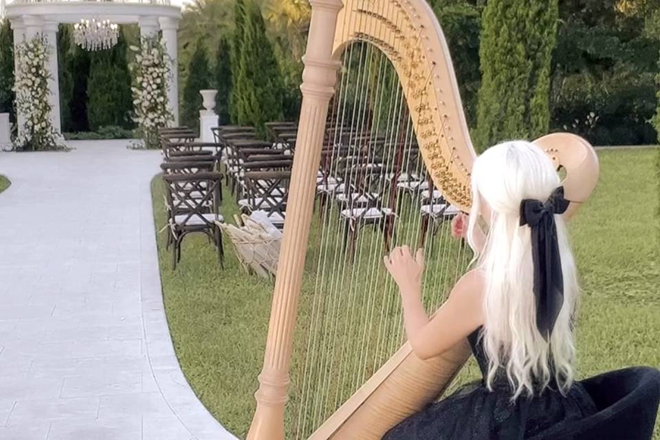 Naples Harpist