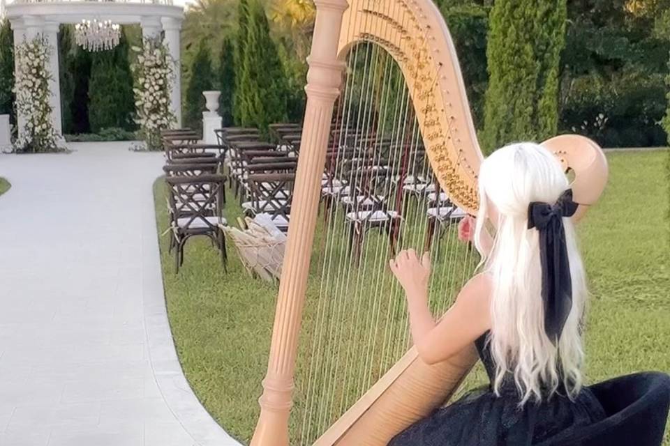 Naples Harpist