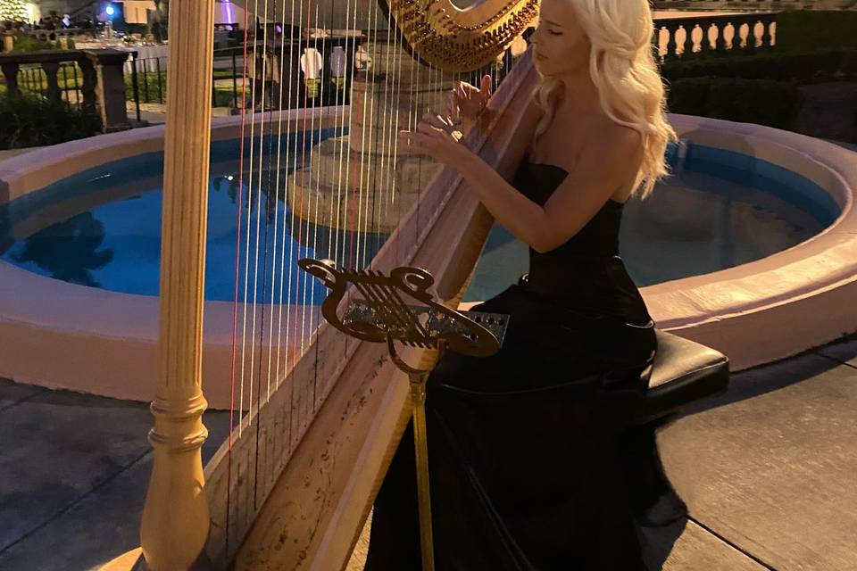 Sarasota Harpist - Ringling