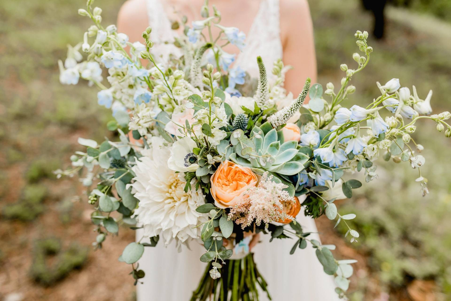 Boulder Blooms - Flowers - Boulder, CO - WeddingWire