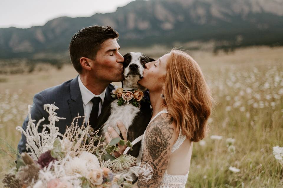 Dog with Bride and Groom