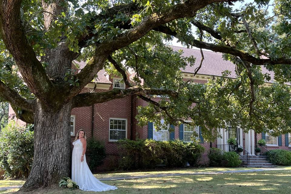 Front yard