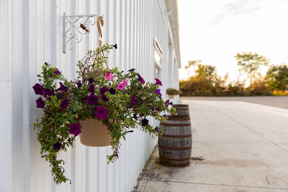 Flowers on The White Barn