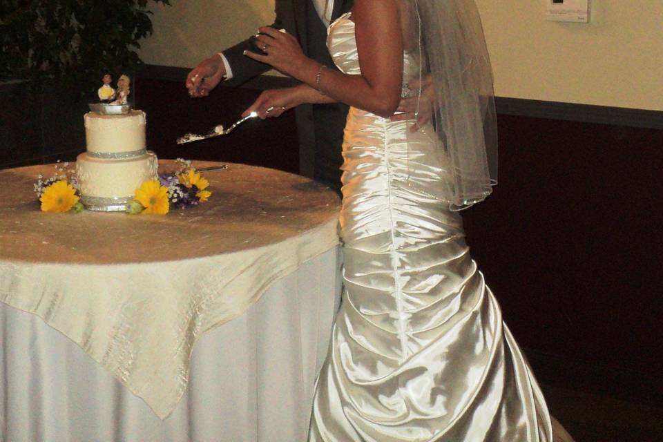 Slicing the cake