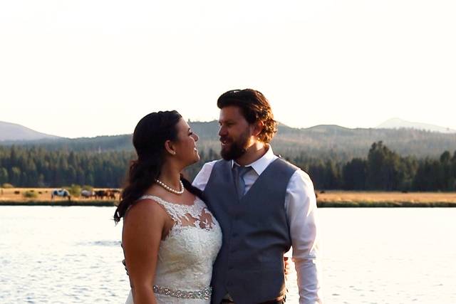 Horses and bae at sunset film