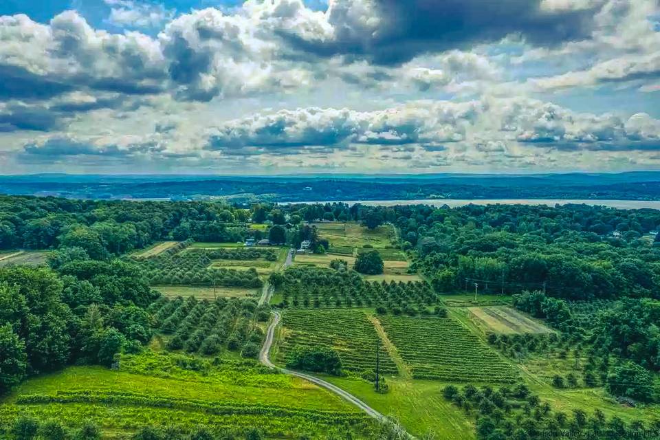 Vineyards and orchards