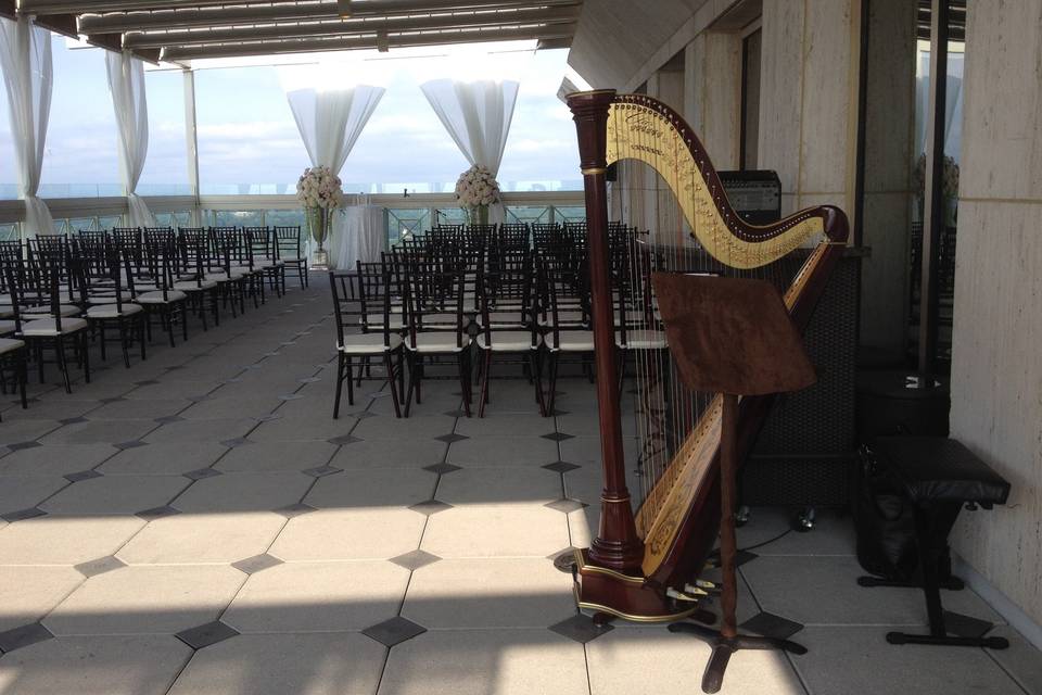 Atlanta Harpist