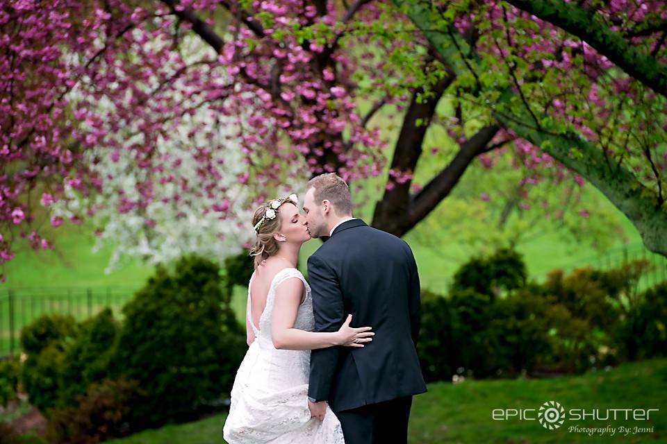 Kiss Under the Tree