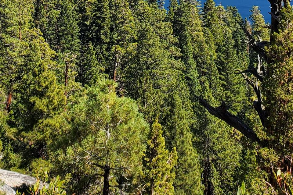 Lake Tahoe, California