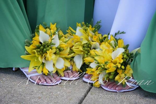 Flowers and Shoes