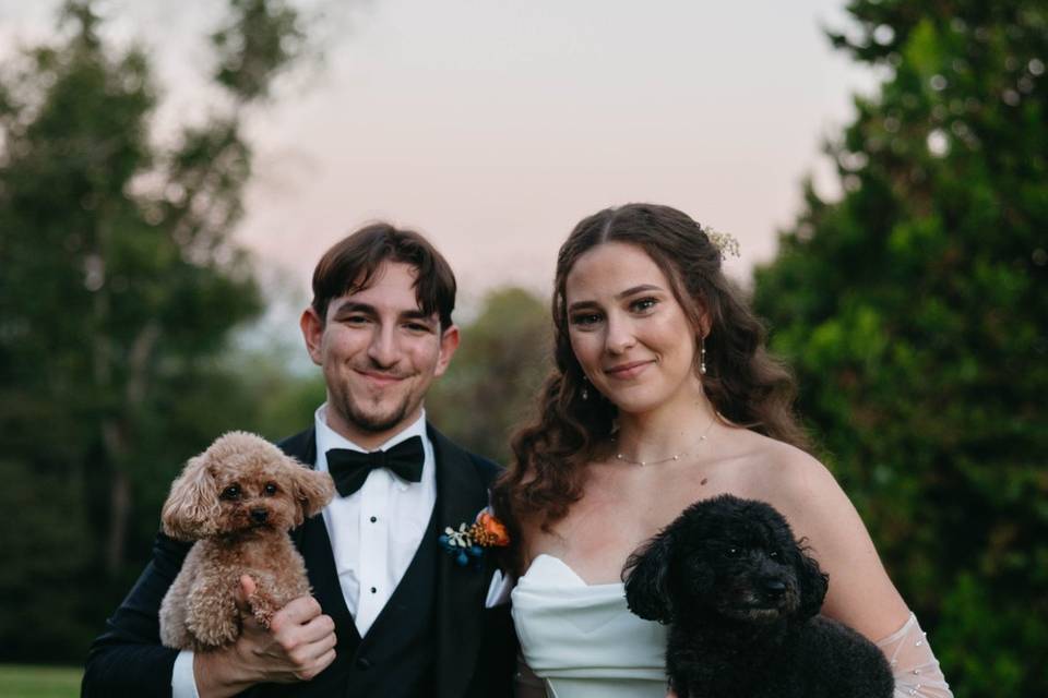 Dog love