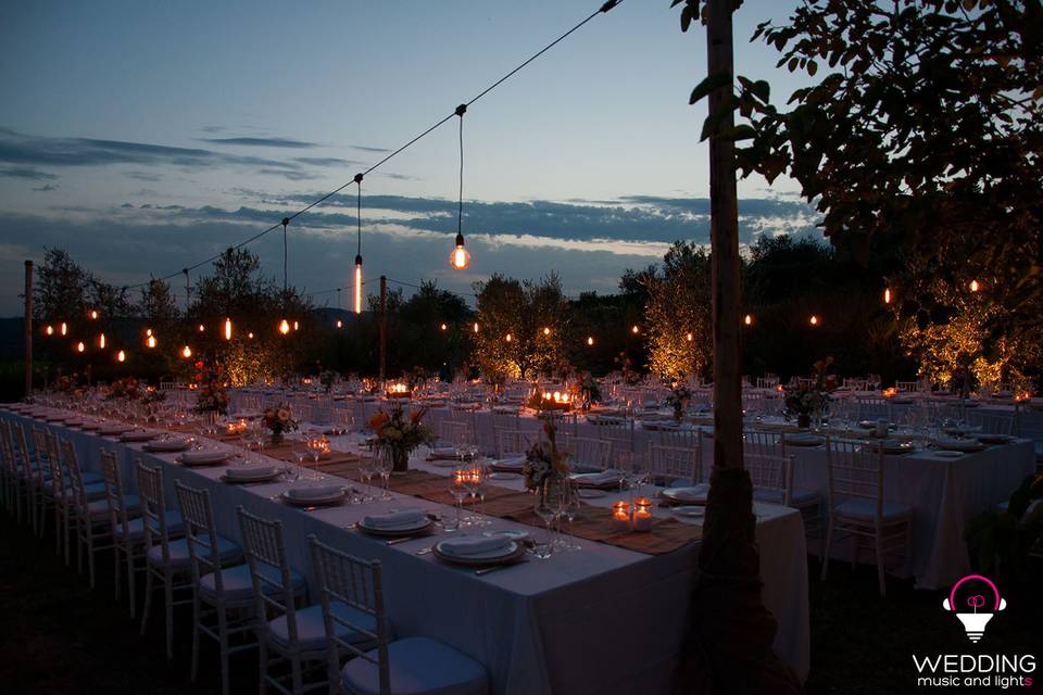 Wedding Music & Lights