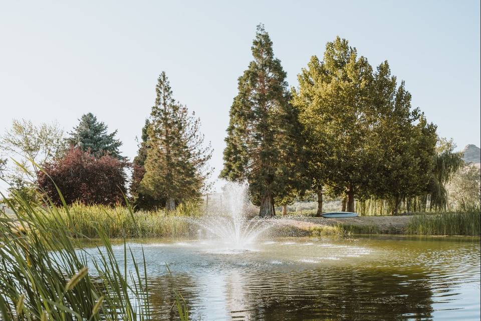 Fountain