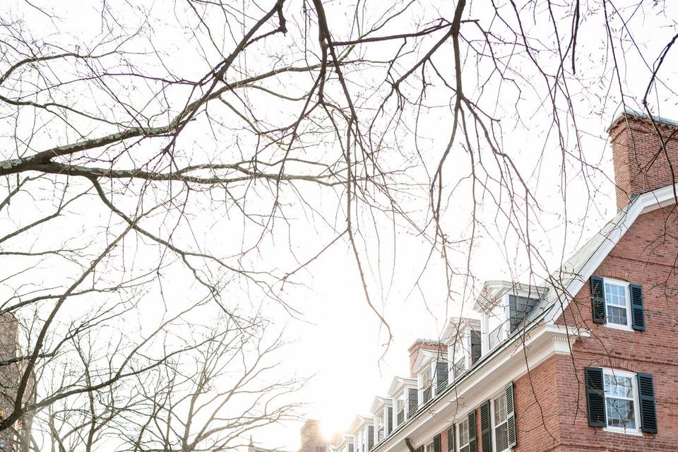 Yale New Haven engagement