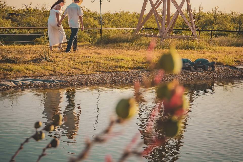 A beautiful Bride and groom