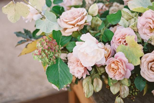 Birra Weddings & Events
