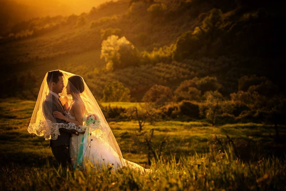 Wedding in Val D'orcia