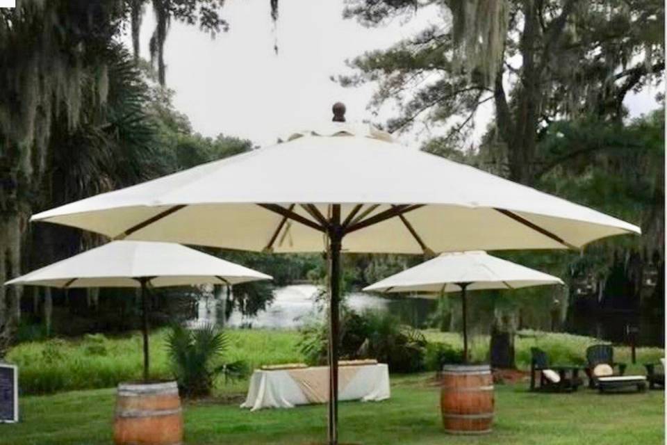 Wine barrel and umbrella