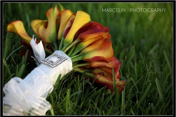 Marcelin Photography