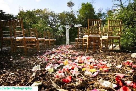 Eco-Friendly Rainforest WeddingAisle through the Butterfly Habitat at the KW Tropical Rainforest and Botanical Garden